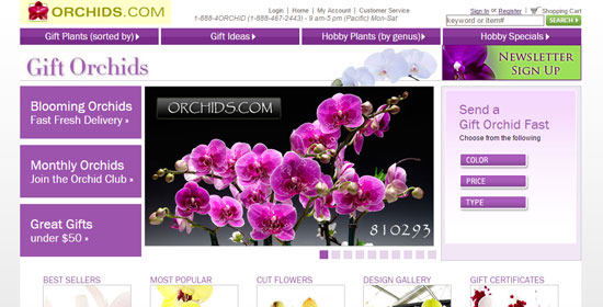 Gift orchids