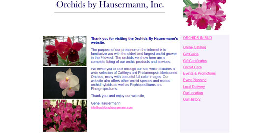 Orchids by Hausermann